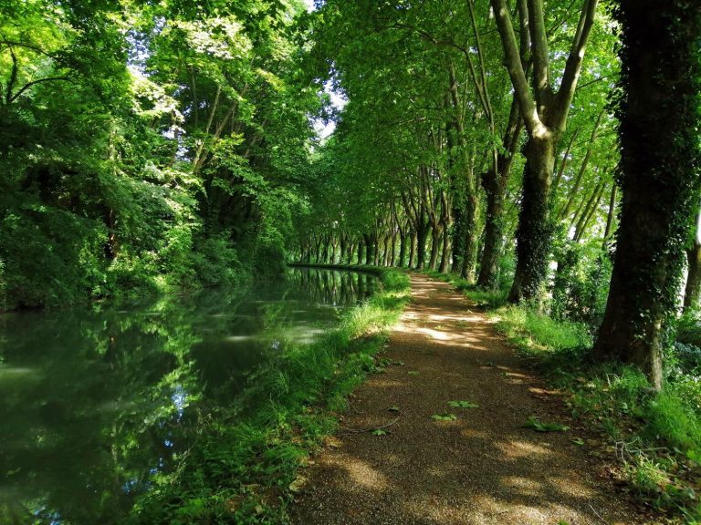 V80 Voie verte du Canal du Midi : Toulouse - Sète, carte et ...
