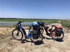 photo-euro-velo-17-viarhona-voie-verte-darles-a-port-st-louis-470