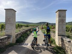 photo-voie-des-vignes-entre-beaune-et-santenay-tour-de-bourgogne-45