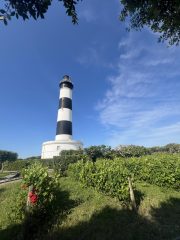 photo-voies-verte-de-lile-doleron-507