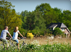 velo dans les champs