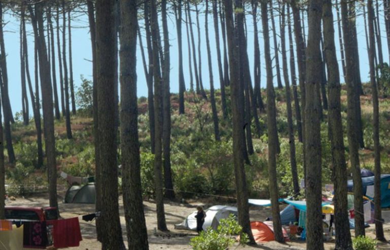 CAMPING LA GRIGNE- Porge, Gironde